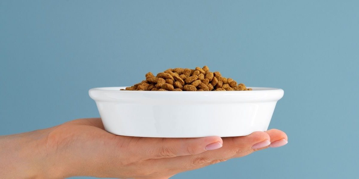 sağlıklı yavru köpek maması