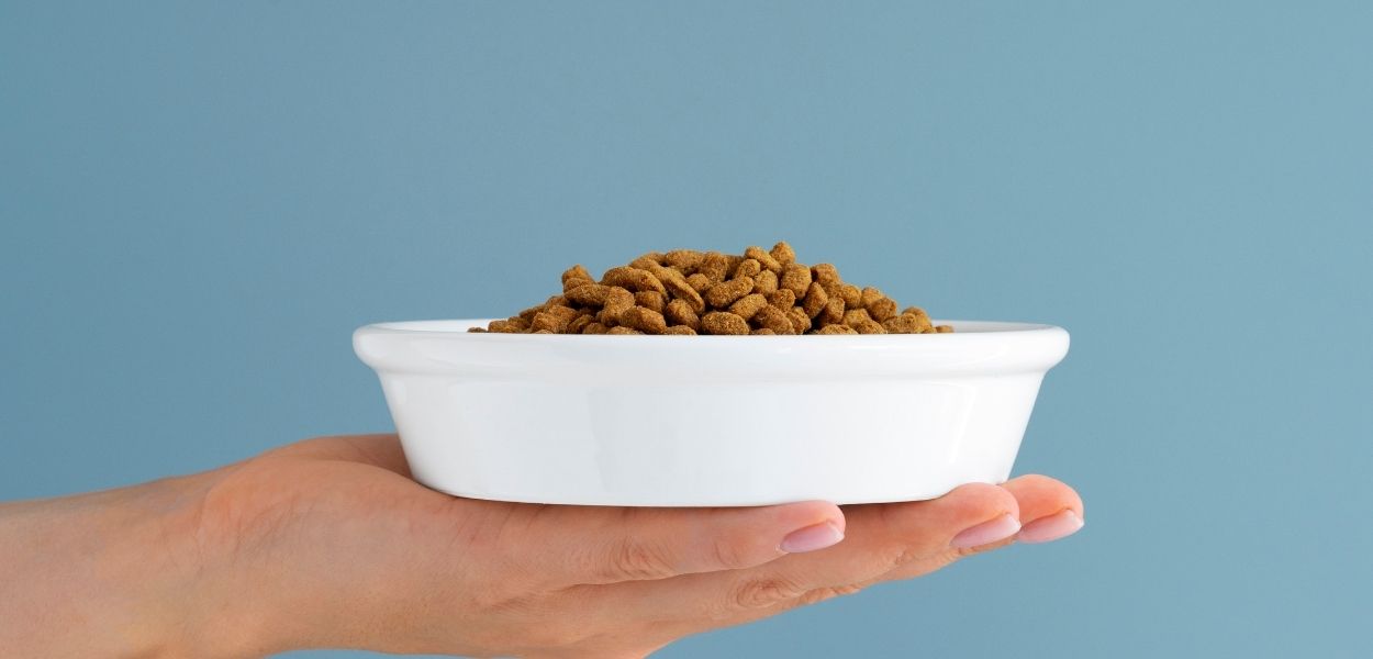 sağlıklı yavru köpek maması